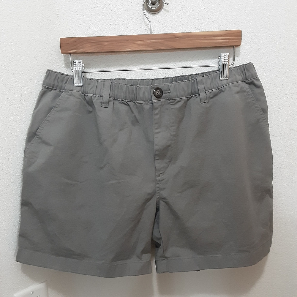 Chubbies sky's out thighs out summer 5.5" shorts